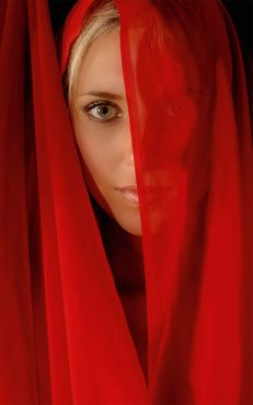 Behind the Florentine Veil
BEST OF SHOW PREMIER PRINT AWARDS 2013